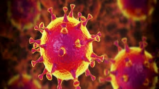 "Bu, yeni dalğanın əmələ gəlməsinə səbəb olacaq" - Azərbaycanlı alim 