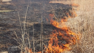 Qazaxda taxıl sahəsi yanır 