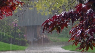 Temperatur düşəcək, leysan yağacaq - XƏBƏRDARLIQ 