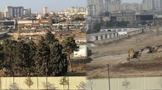 “Ağ Şəhər”də ağacları qıran 2 nəfər saxlanıldı - FOTOLAR 