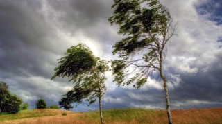 Объявлен желтый уровень погодной опасности в связи с ветреной погодой 