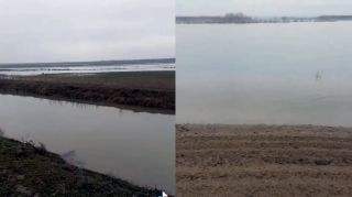 Kür çayı daşdı - Samuxda əkin sahələrini su basdı 