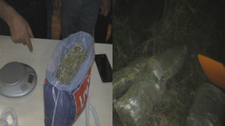 Ağdaşda narkotik becərib-satanlar saxlanıldılar   - FOTO