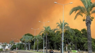 Türkiyədə meşə yanğınları törətməkdə şübhəli bilinən PKK üzvləri saxlanılıb