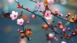 Прогноз погоды в Азербайджане на 27 апреля