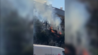 Bakının mərkəzində ağac naməlum səbəbdən yandı - VİDEO - YENİLƏNİB