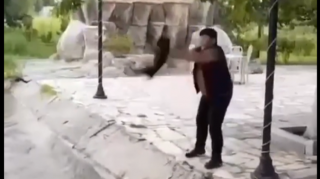 İti suya atanlarla bağlı araşdırmalara başlanılıb - VİDEO