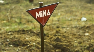 Azad olunmuş ərazilərdə daha 146 mina aşkarlanıb 