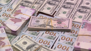 Mərkəzi Bank müraciət etdi, DİN əməliyyat keçirib dollar satanları yaxaladı - VİDEO