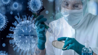 Koronavirusun mümkün YARANMA MƏNBƏYİ  tapıldı