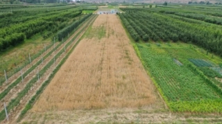 Tarif Şurası bu torpaqlara dair xidmətlər üçün haqq müəyyənləşdirəcək