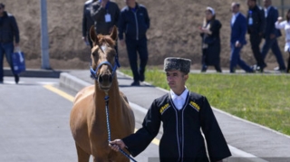 İlk hərrac: Qarabağ atlarından ikisi satıldı, biri isə yarışa çıxarılacaq - YENİLƏNİB + FOTO 