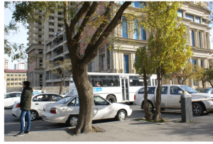 BNA: Qaydanı pozan sürücülərin sayı yaxın günlərdə açıqlanacaq