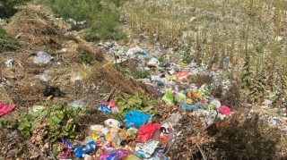 Qubada bələdiyyə sədrləri və sahibkar inzibati məsuliyyətə cəlb edilib