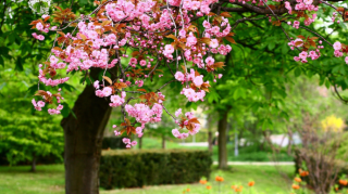 Прогноз погоды в Азербайджане на 11.05.2025 