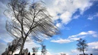 В Баку и регионах Азербайджана усилится ветер - ПРЕДУПРЕЖДЕНИЕ 