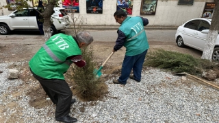 Avtodayanacaq üçün ağacların kəsilməsi ilə bağlı sənədlər Baş Prokurorluğa göndərilib 