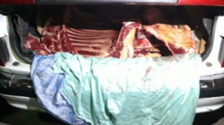 Əsgəran postunda istehlaka yararsız heyvan cəmdəyi aşkarlandı - FOTO