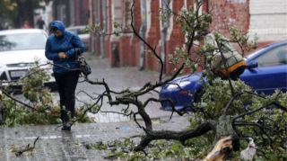 Güclü küləyin vurduğu ziyanı kim qarşılayacaq? - AÇIQLAMA 