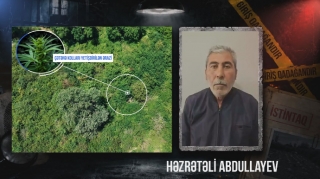 Çay sahilində çətənə kolu yetişdirən şəxs saxlanıldı - VİDEO 
