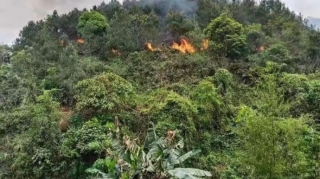 Portuqaliyada yanğınsöndürən təyyarə qəzaya uğrayıb 