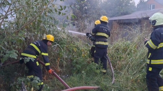 Zaqatalada açıq ərazidə yanğın oldu - FOTO 