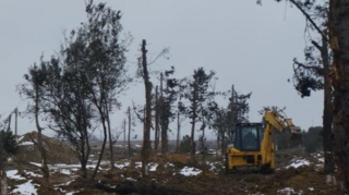 Yeni yolun inşası ilə əlaqədar ərazidəki yaşıllıq köçürülür - FOTO