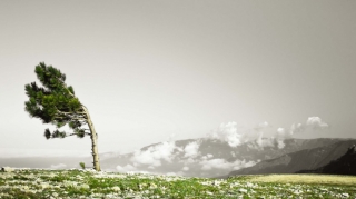 Sabah hava küləkli olacaq 