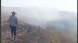 Şamaxıda biçilmiş əkin sahəsini yandıran şəxslər müəyyən olunub