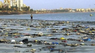 "Bakıda məişət tullantılarını maşınla daşıyıb Xəzərə tökürlərmiş" - Ekoloq 