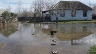 Zərdabda güclü yağışdan sonra qrunt suları evlərə dolub - FOTO