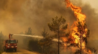 Muğlada meşə yanğını başlayıb 