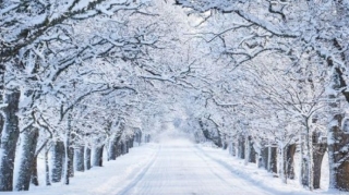 Bu ərazilərə qar yağıb - FAKTİKİ HAVA 