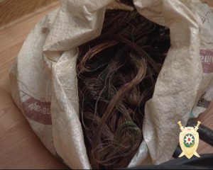 BTR-nin kabelini oğurlayan idarə işçiləri saxlanılıb - FOTO