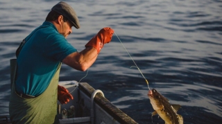 Qanunsuz balıq ovlayan şəxslər cəzalandırıldı