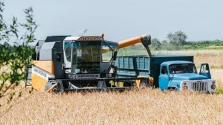 В Азербайджане уборка зерновых выполнена на 5,7 процента