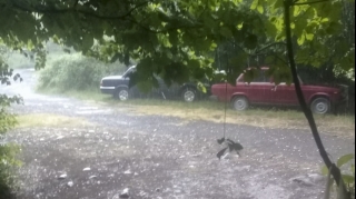 Çaylardan sel keçib, İsmayıllıya dolu düşüb - FAKTİKİ HAVA 