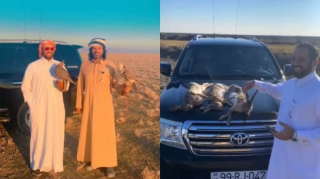 Ərəblərin Azərbaycanda qanunsuz quş ovlaması ilə bağlı araşdırma aparılır - RƏSMİ + FOTO 