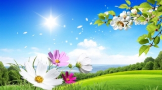 Sabaha gözlənilən hava proqnozu açıqlanıb