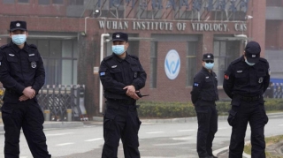 Virusoloq COVID-19-un laboratoriyadan sızması barədə xəbərləri təkzib edib