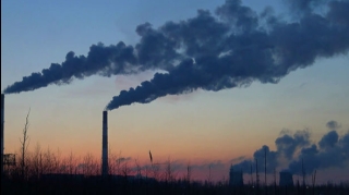 Siyəzəndə asfalt zavodunun nümayəndəsi cərimələnib