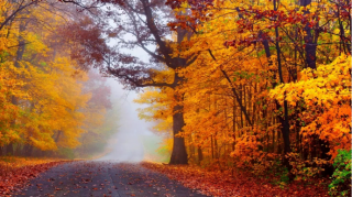 Oktyabrda hava necə olacaq? 