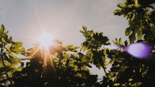 Sabahın hava proqnozu açıqlanıb 