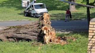 Şəkidə güclü küləyin yaratdığı fəsadlar aradan qaldırılıb - FOTO 