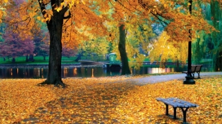 Azərbaycanda payız fəsli başlayıb