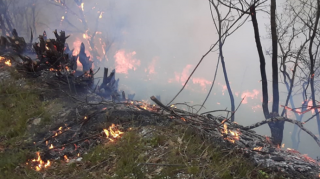Yardımlıda meşə zolağında yanğının söndürülməsinə helikopter cəlb olunub   - YENİLƏNİB - VİDEO - FOTO
