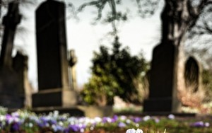 Tərtərdə erməni qəbiristanlığını çəkən çeçen saxlanıldı - Erməni dostu sifariş veribmiş