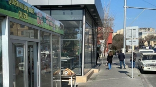 Səki qanunsuz zəbt edilib, qurumlar ötür-ötürdə... - FOTO 