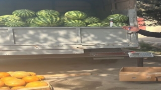 Polis küçə ticarəti, avara və dilənçiliklə məşğul olanlarla bağlı nəzarət tədbirləri keçirib 