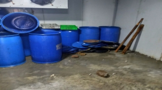 Hisə verilmiş balıq istehsalı sexində nöqsanlar aşkarlandı - FOTO 